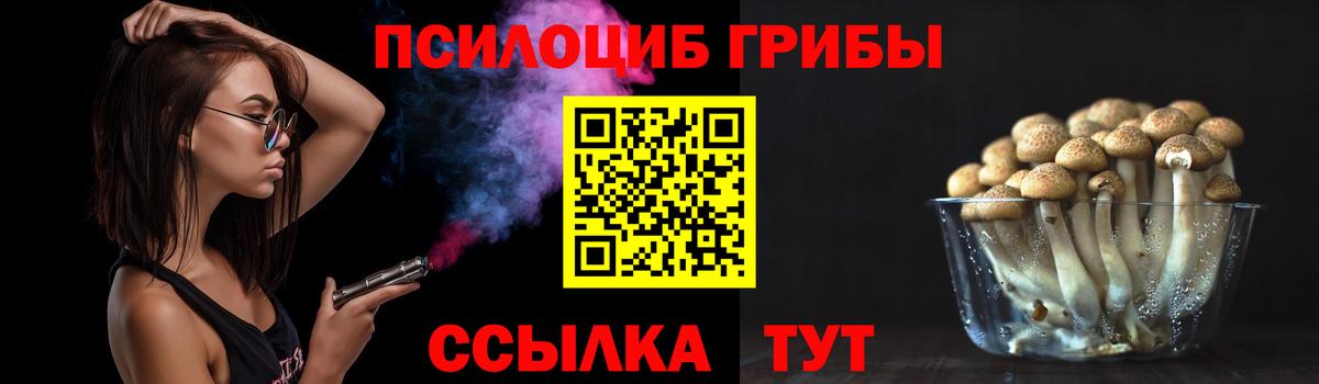 Галлюциногенные грибы мицелий Сергиев Посад